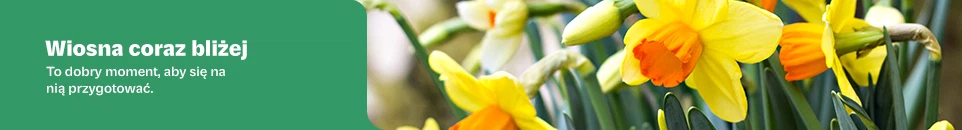 Baner kategorii Dla gotowych na nowe